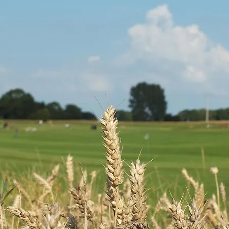 Alojamento de Acomodação e Pequeno-almoço Heu-herberge Gut Sophienhof *