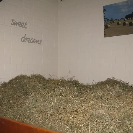 Heu-herberge Gut Sophienhof * Waabs