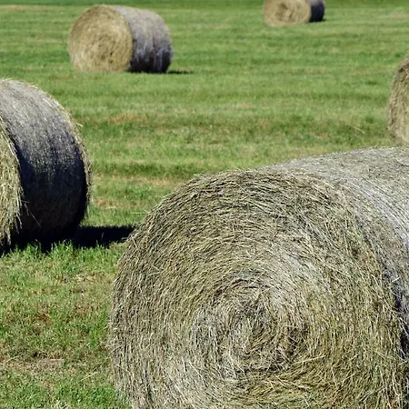 B&B Heu-herberge Gut Sophienhof Waabs