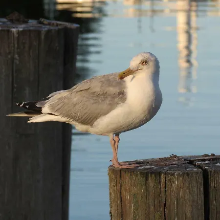 Heu-herberge Gut Sophienhof * Waabs