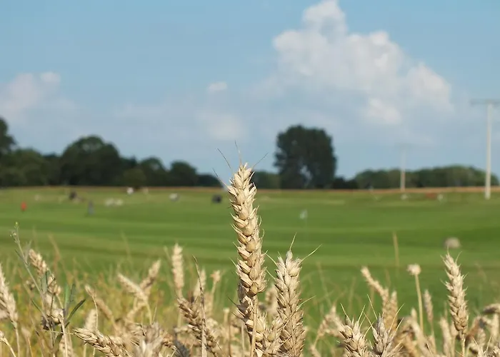 Frühstückspension Heu-herberge Gut Sophienhof *