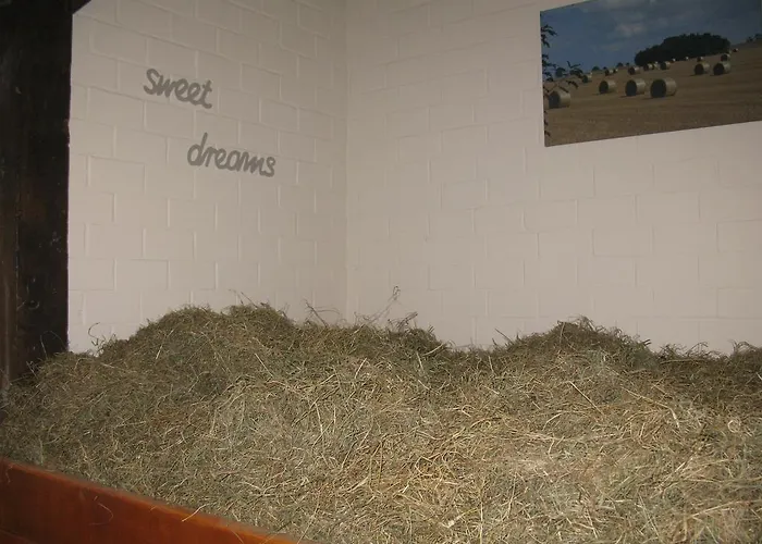 Heu-herberge Gut Sophienhof * Waabs